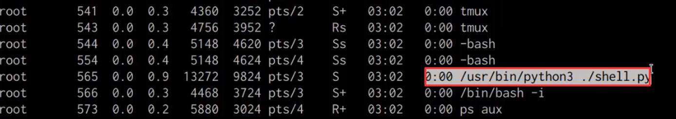 ps aux output with shell.py visible